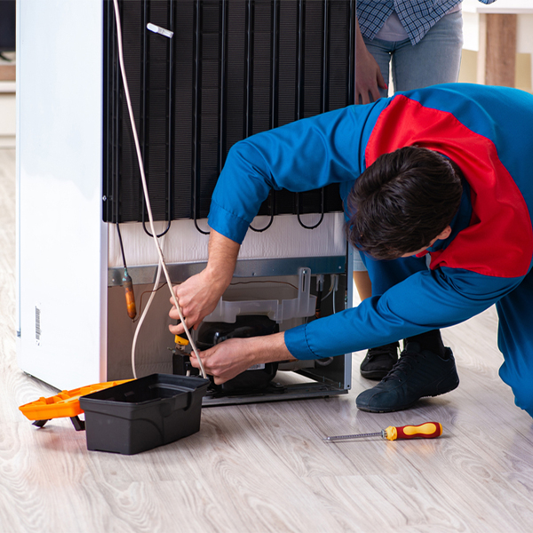 how do you diagnose a problem with a refrigerator in Garza-Salinas II TX